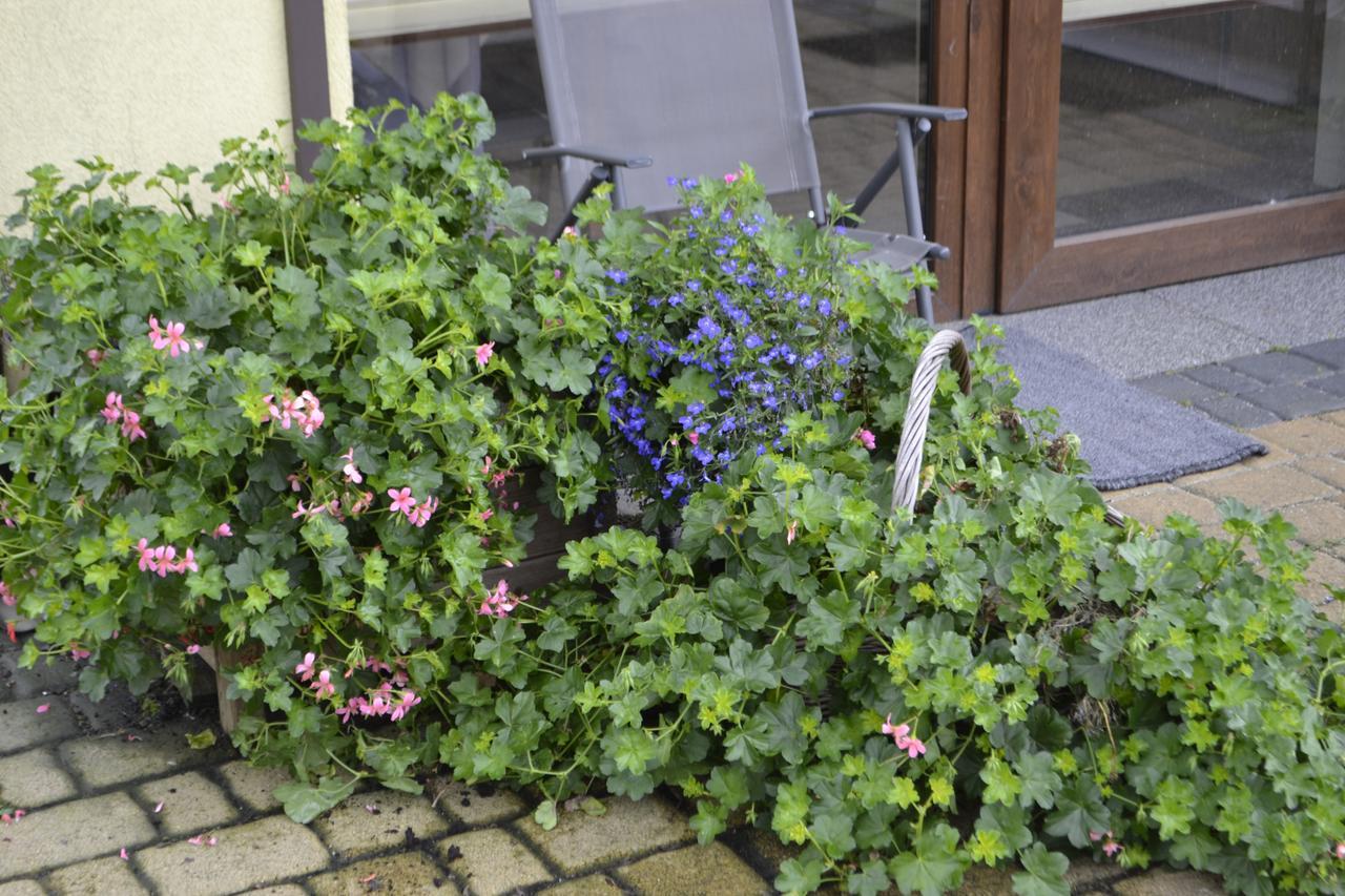Apartment Sole Pruszcz Gdanski