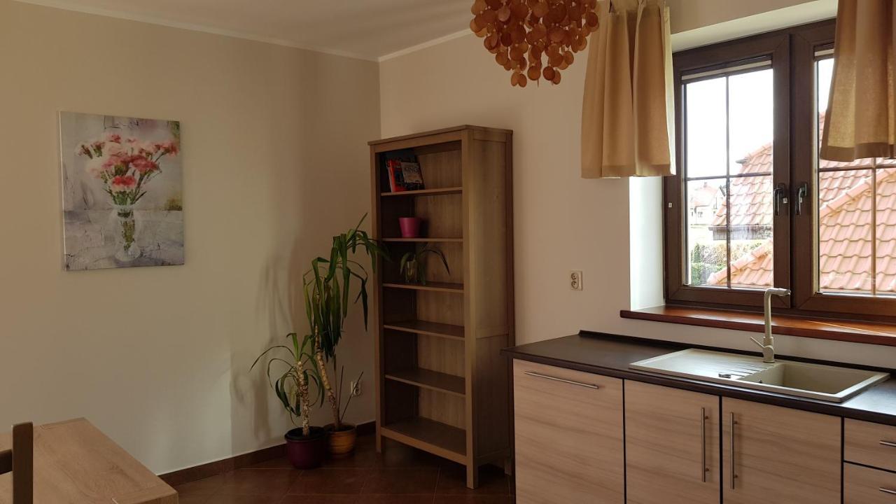 Sole Apartment Pruszcz Gdanski
